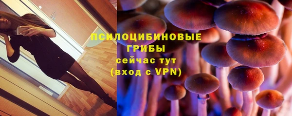 марки lsd Няндома