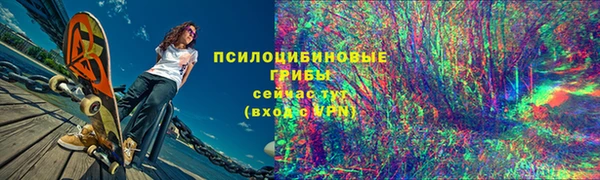 соль курить ск Нязепетровск
